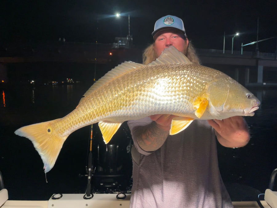 Night bull redfish under the lights