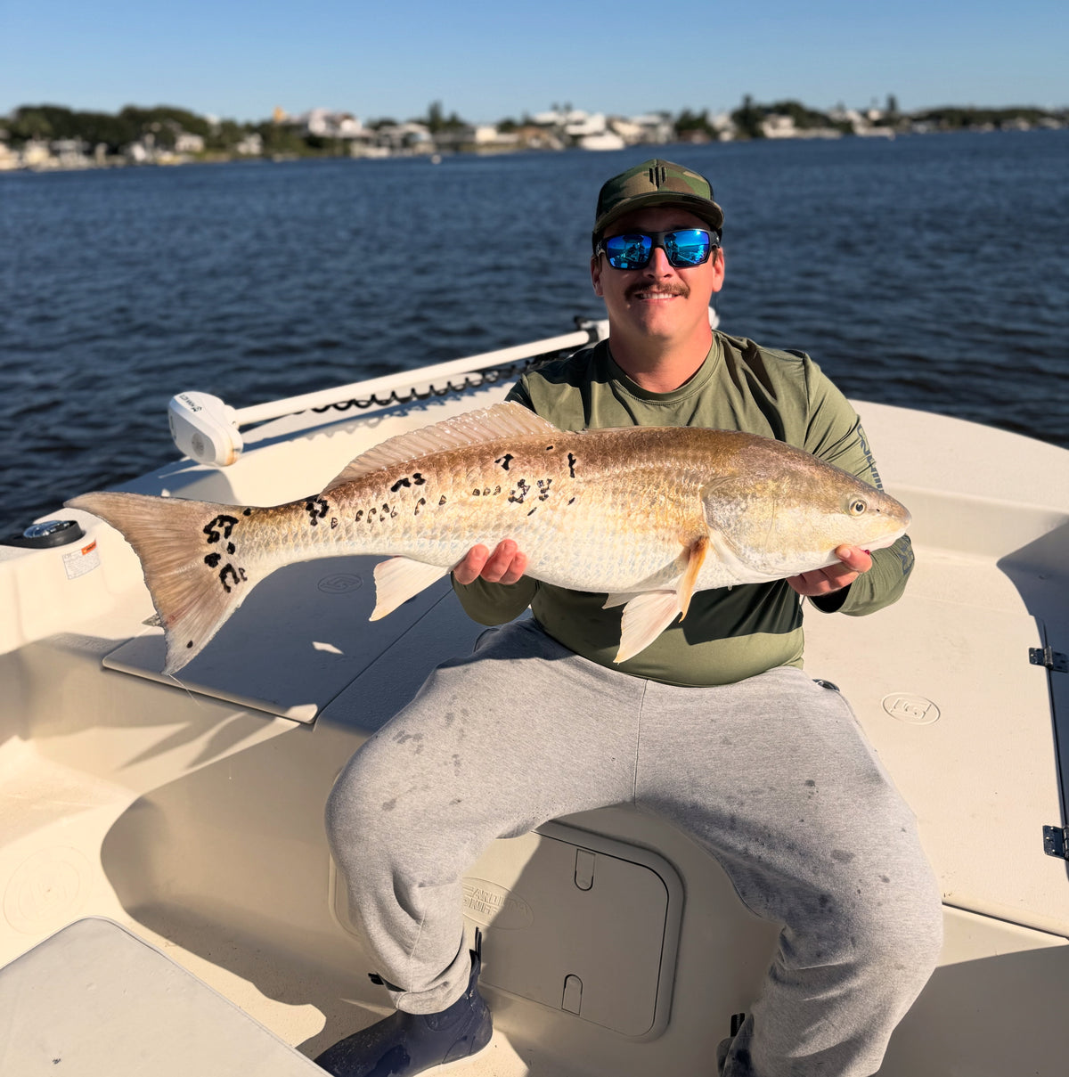 Upper-slot redfish, Mosquito Lagoon