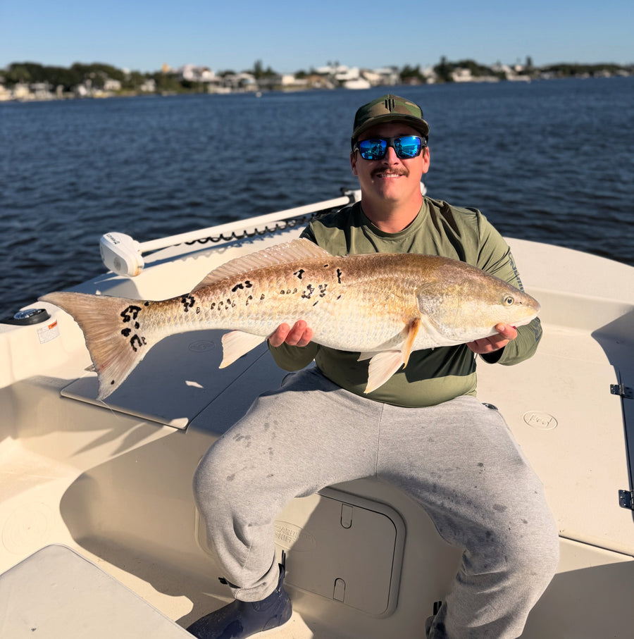 Upper-slot redfish, Mosquito Lagoon