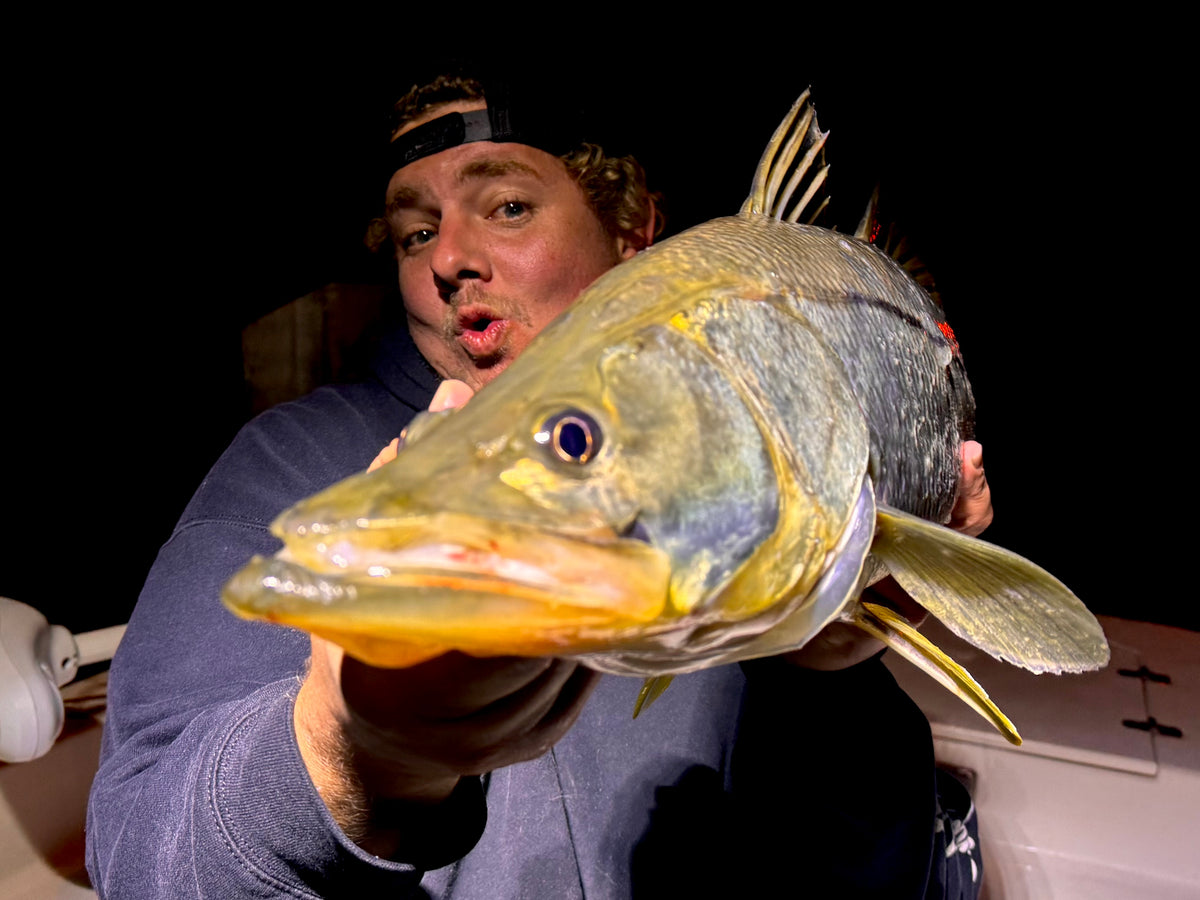 Angler holding a big snook caught at night on the Night Bite trip