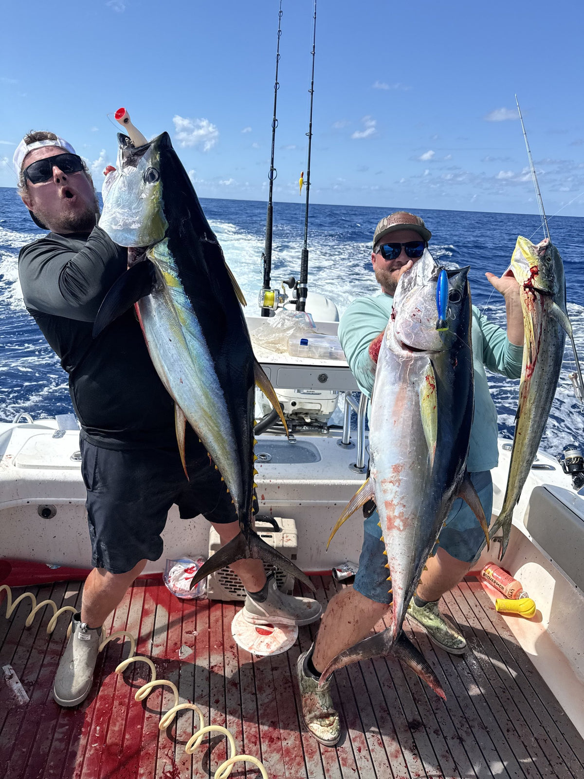 Two anglers holding yellowfin tuna and a mahi on the back deck offshore